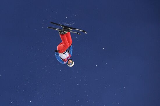 2014 Winter Olympics. Freestyle skiing. Men. Aerials