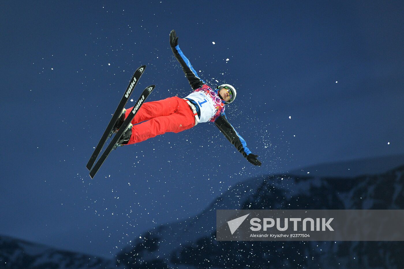 2014 Winter Olympics. Freestyle skiing. Men. Aerials