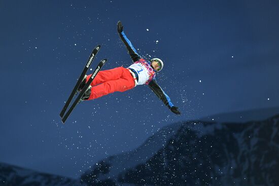 2014 Winter Olympics. Freestyle skiing. Men. Aerials