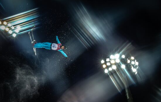 2014 Winter Olympics. Freestyle skiing. Men. Aerials