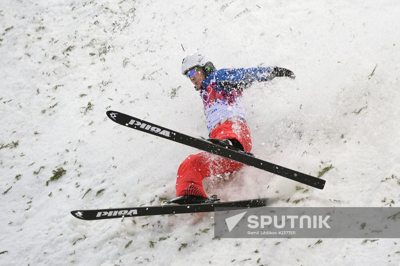 2014 Winter Olympics. Freestyle skiing. Men. Aerials