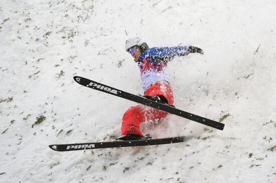 2014 Winter Olympics. Freestyle skiing. Men. Aerials