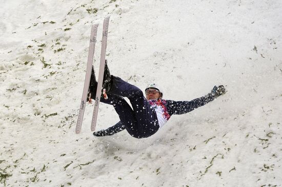 2014 Winter Olympics. Freestyle skiing. Men. Aerials
