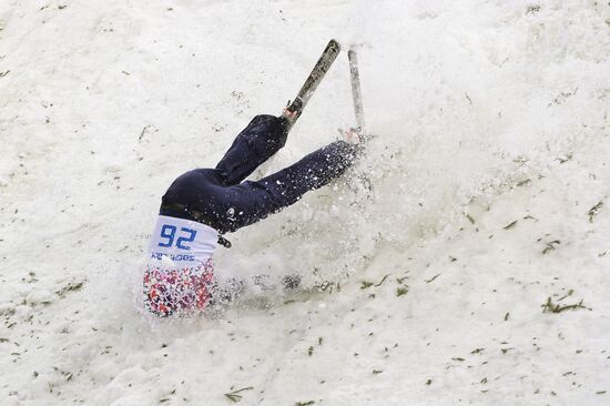 2014 Winter Olympics. Freestyle skiing. Men. Aerials