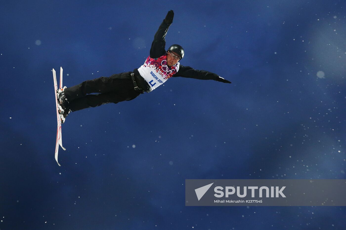 2014 Winter Olympics. Freestyle skiing. Men. Aerials