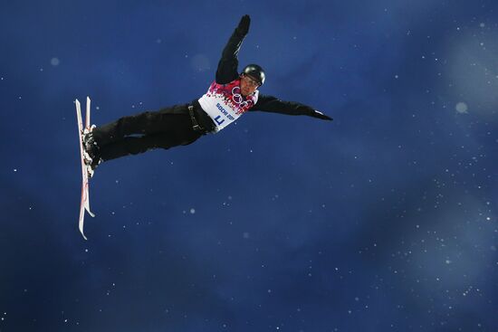 2014 Winter Olympics. Freestyle skiing. Men. Aerials