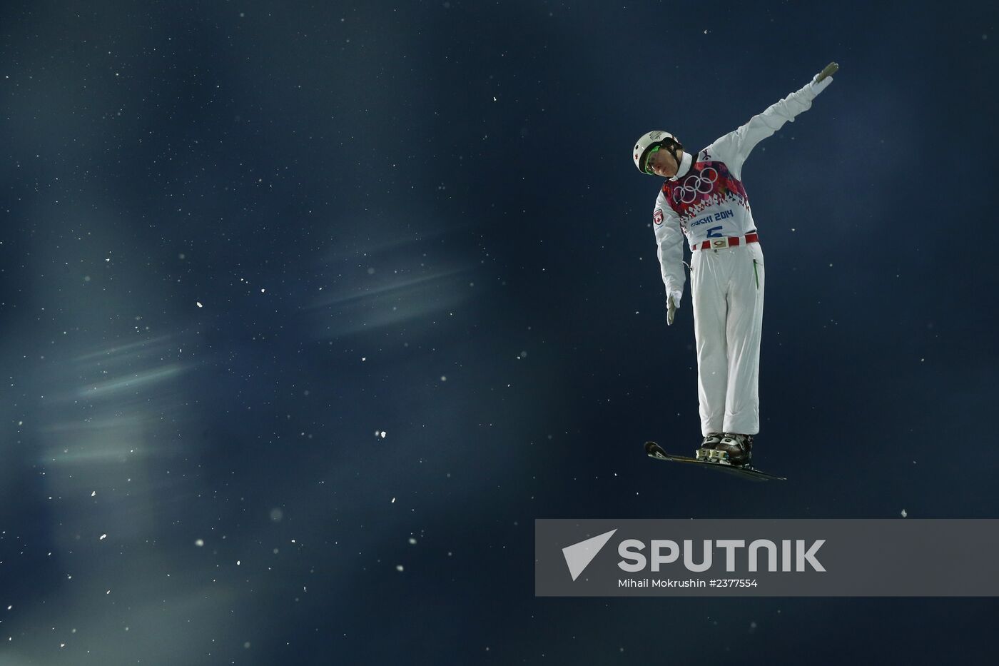 2014 Winter Olympics. Freestyle skiing. Men. Aerials