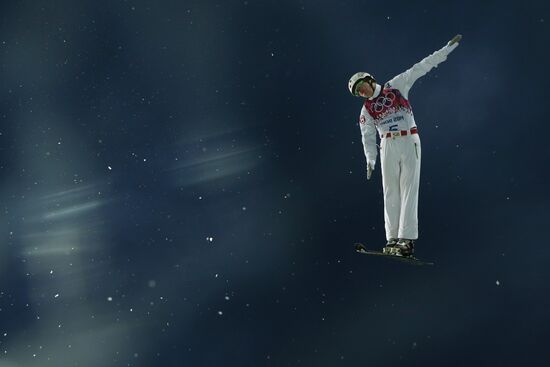 2014 Winter Olympics. Freestyle skiing. Men. Aerials