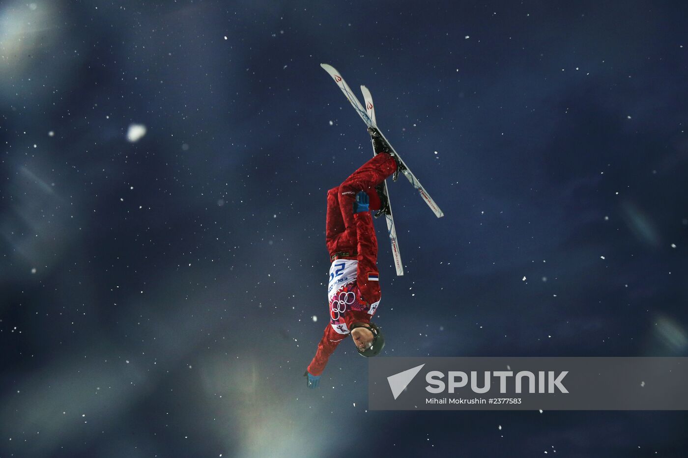 2014 Winter Olympics. Freestyle skiing. Men. Aerials