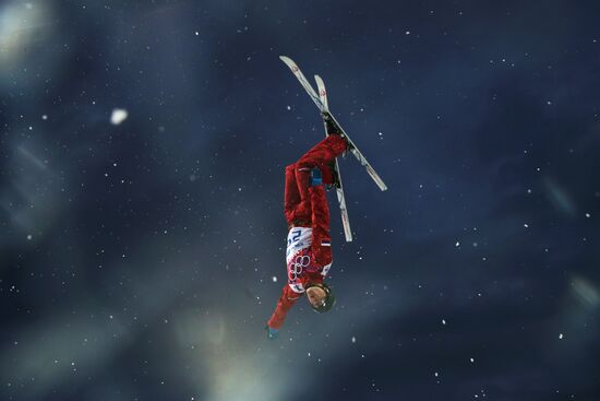 2014 Winter Olympics. Freestyle skiing. Men. Aerials
