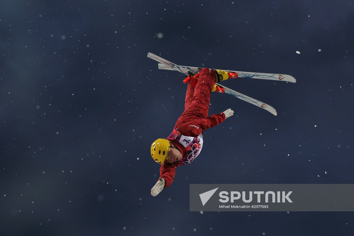 2014 Winter Olympics. Freestyle skiing. Men. Aerials