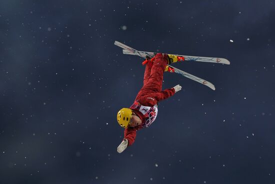 2014 Winter Olympics. Freestyle skiing. Men. Aerials