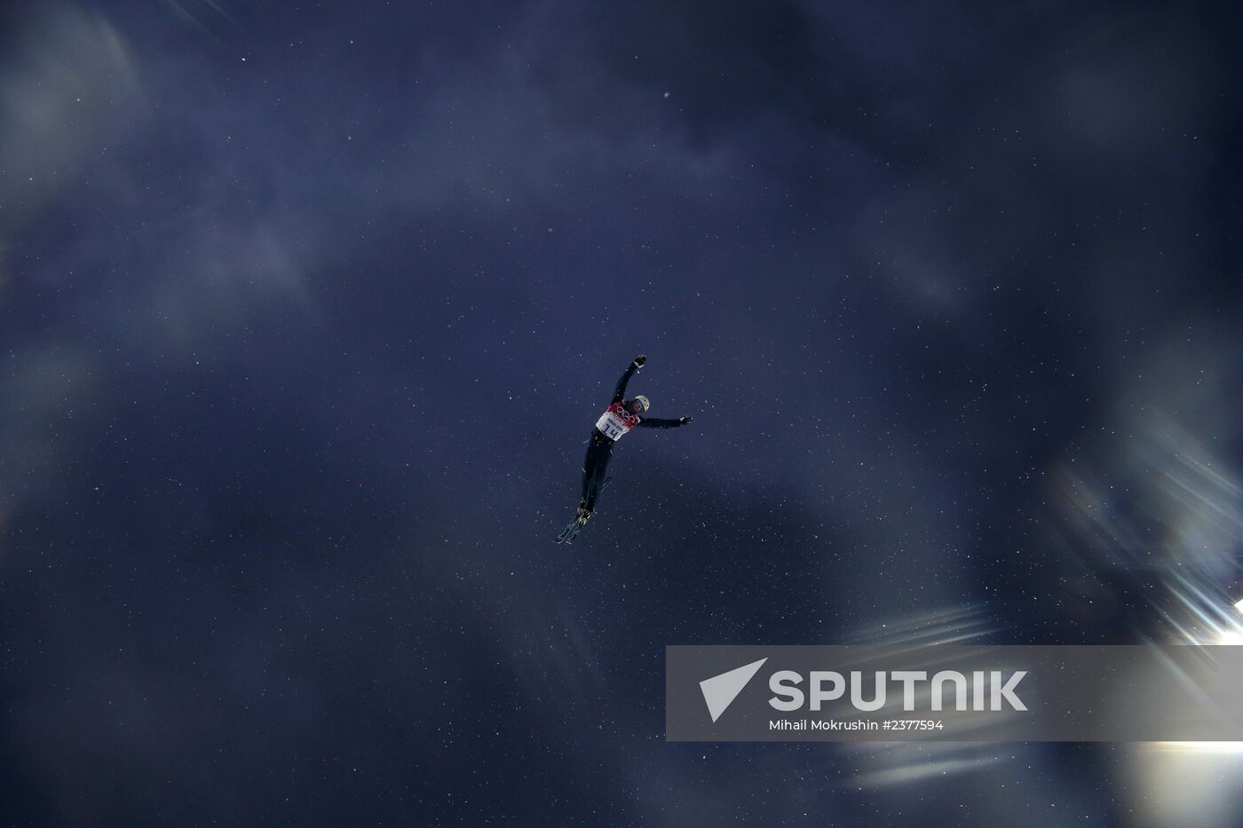 2014 Winter Olympics. Freestyle skiing. Men. Aerials
