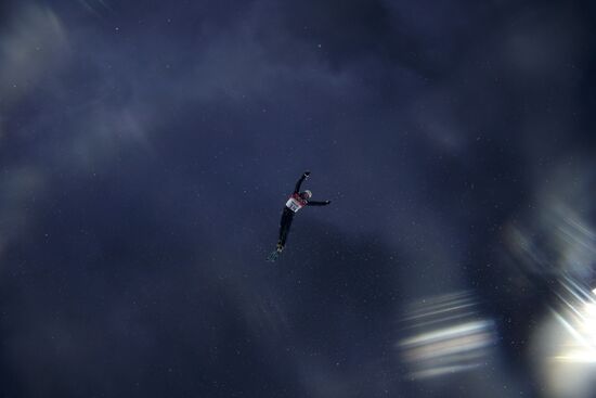 2014 Winter Olympics. Freestyle skiing. Men. Aerials