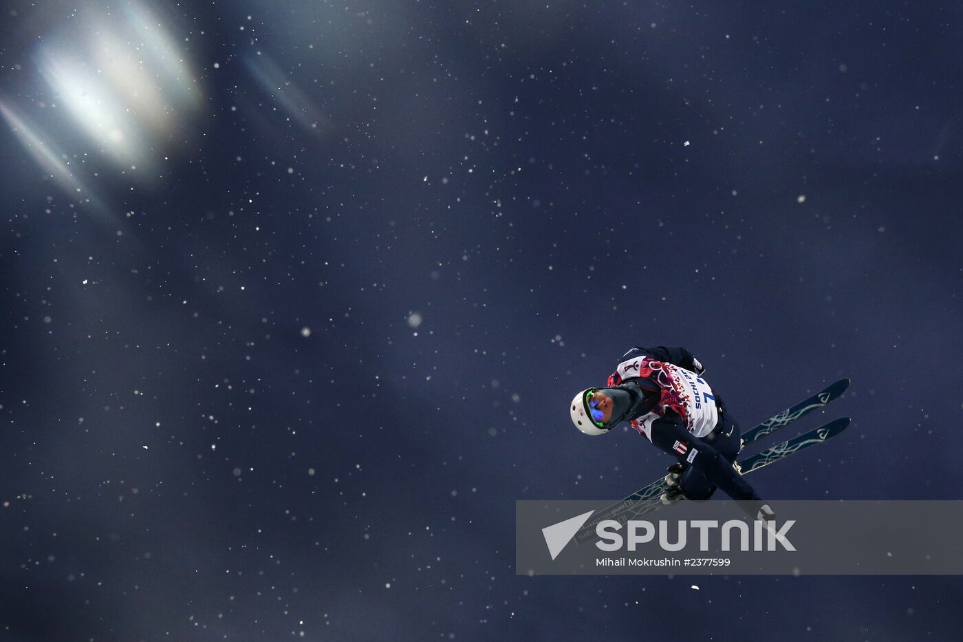 2014 Winter Olympics. Freestyle skiing. Men. Aerials