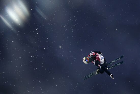 2014 Winter Olympics. Freestyle skiing. Men. Aerials