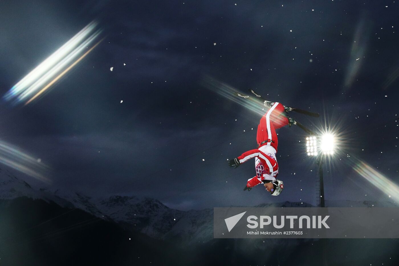 2014 Winter Olympics. Freestyle skiing. Men. Aerials