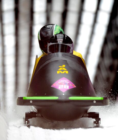 2014 Winter Olympics. Bobsleigh. Two-man. Day Two