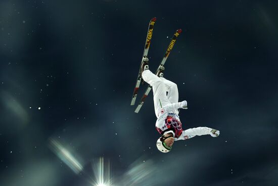 2014 Winter Olympics. Freestyle skiing. Men. Aerials
