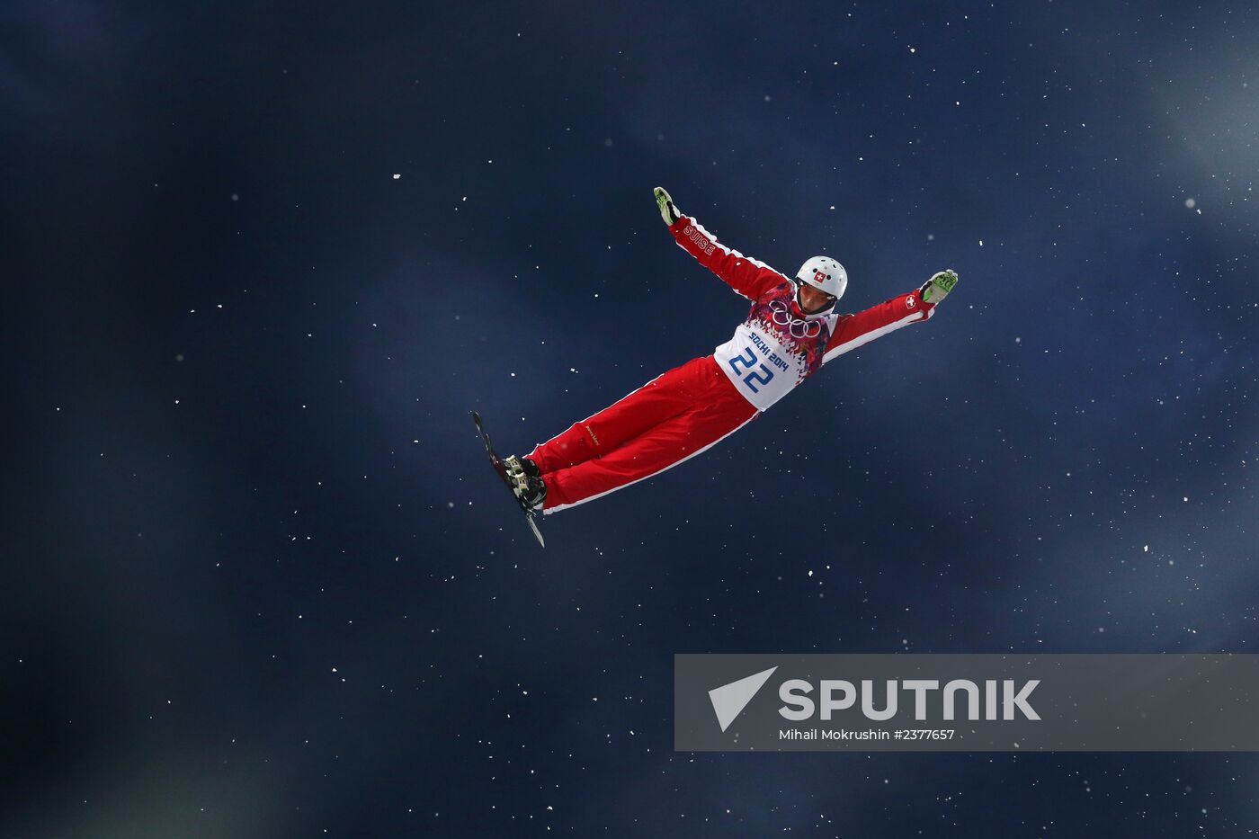 2014 Winter Olympics. Freestyle skiing. Men. Aerials