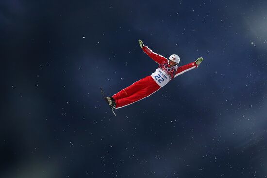 2014 Winter Olympics. Freestyle skiing. Men. Aerials
