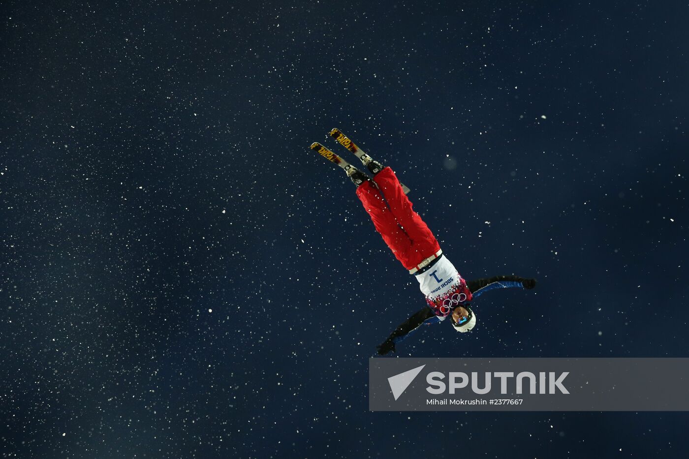 2014 Winter Olympics. Freestyle skiing. Men. Aerials