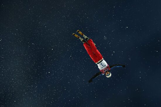 2014 Winter Olympics. Freestyle skiing. Men. Aerials