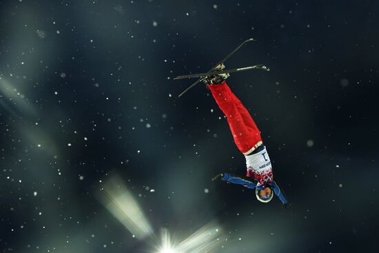 2014 Winter Olympics. Freestyle skiing. Men. Aerials
