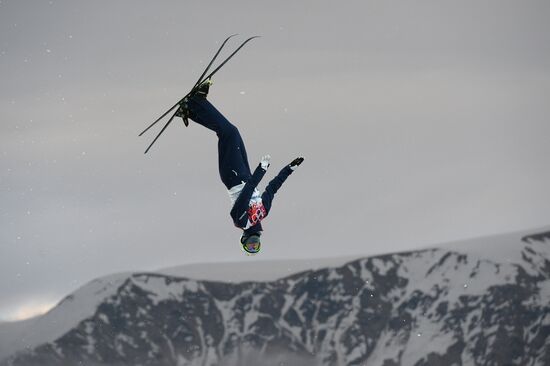 2014 Winter Olympics. Freestyle skiing. Men. Aerials