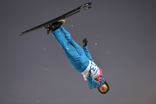 2014 Winter Olympics. Freestyle skiing. Men. Aerials