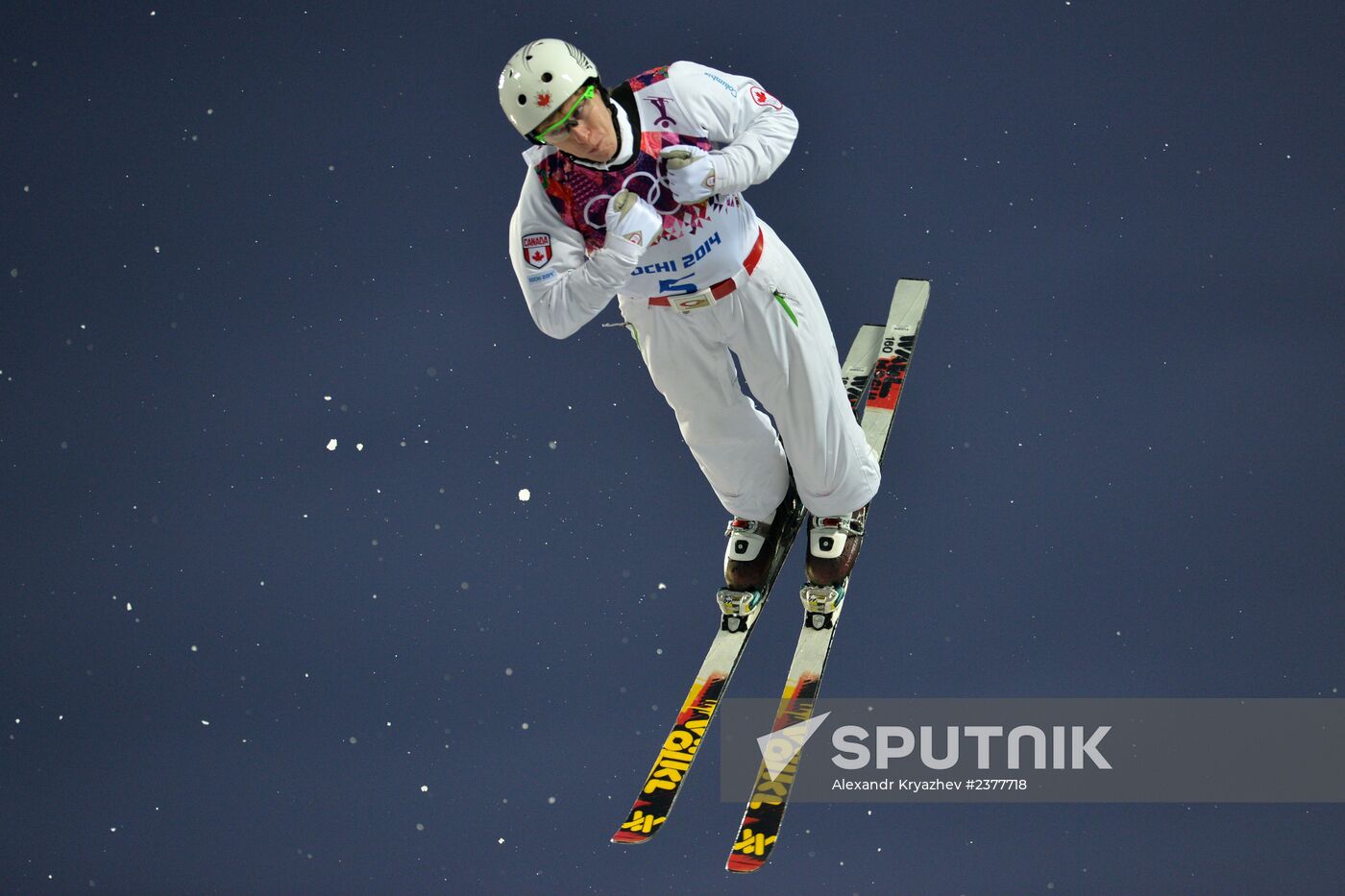 2014 Winter Olympics. Freestyle skiing. Men. Aerials