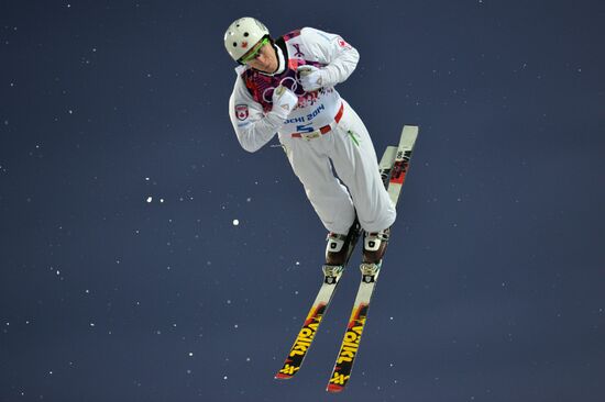 2014 Winter Olympics. Freestyle skiing. Men. Aerials