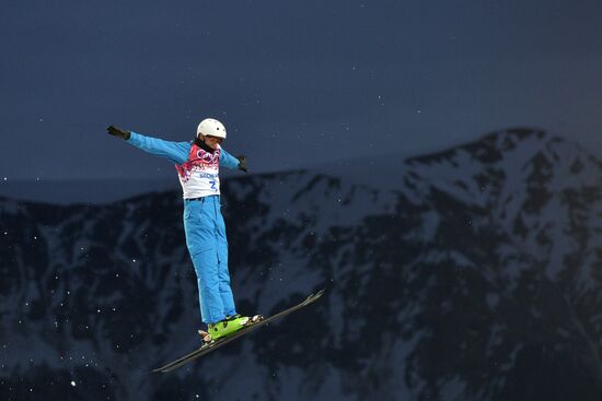 2014 Winter Olympics. Freestyle skiing. Men. Aerials