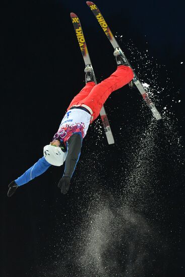 2014 Winter Olympics. Freestyle skiing. Men. Aerials