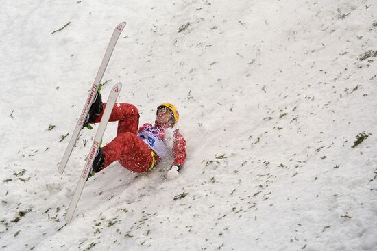 2014 Winter Olympics. Freestyle skiing. Men. Aerials