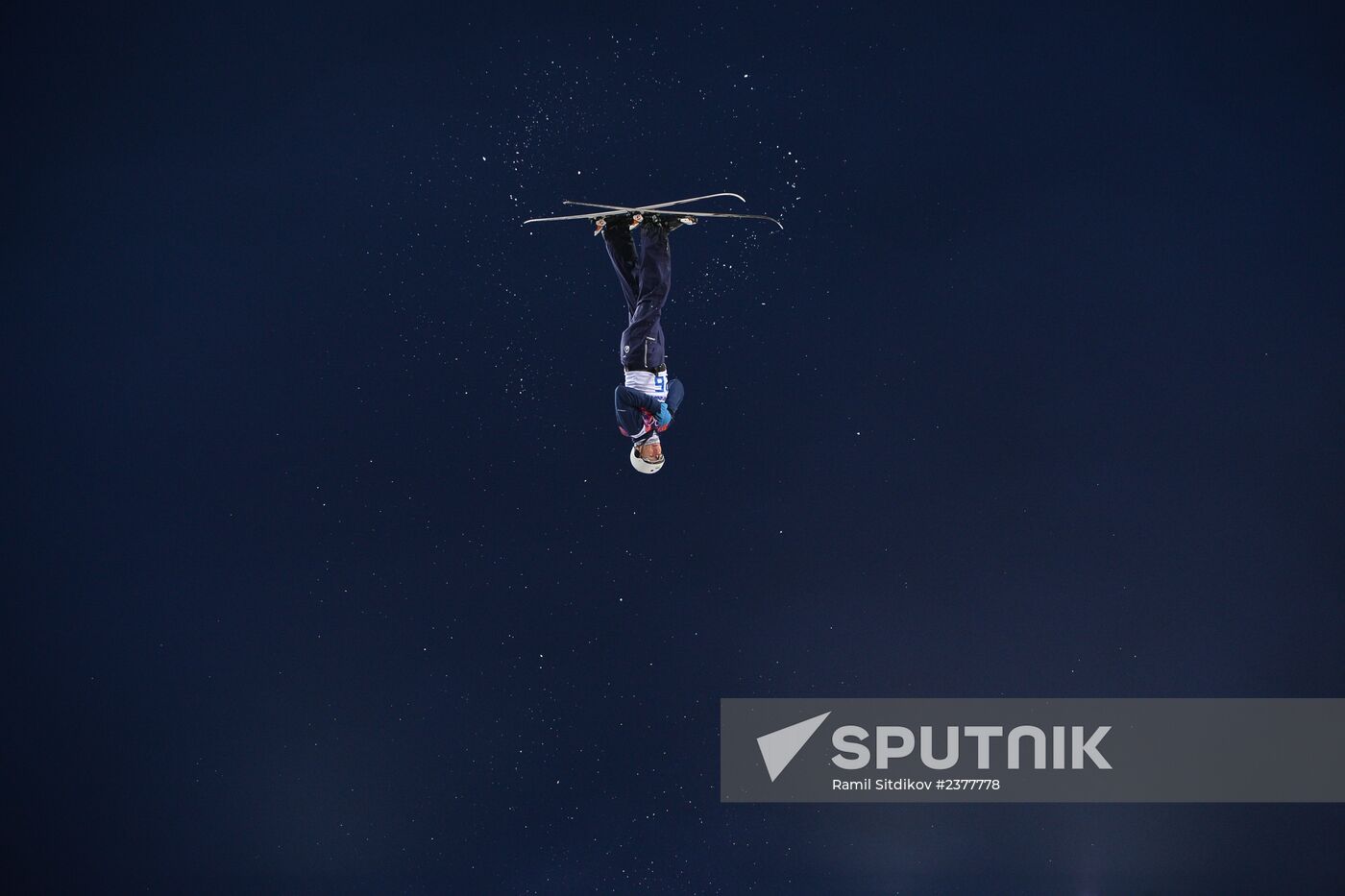 2014 Winter Olympics. Freestyle skiing. Men. Aerials