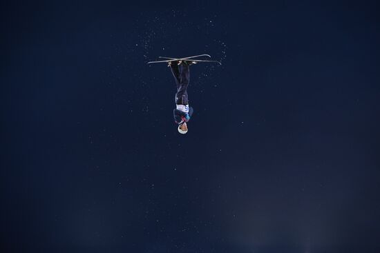 2014 Winter Olympics. Freestyle skiing. Men. Aerials