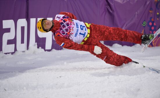 2014 Winter Olympics. Freestyle skiing. Men. Aerials