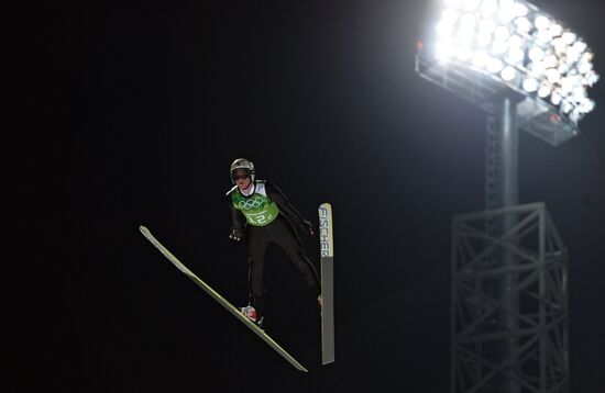 2014 Winter Olympics. Ski jumping. Teams