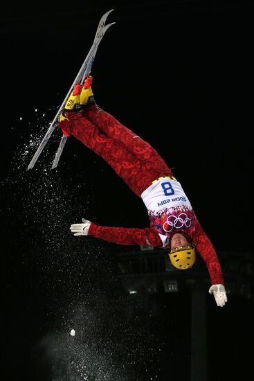 2014 Winter Olympics. Freestyle skiing. Men. Aerials.
