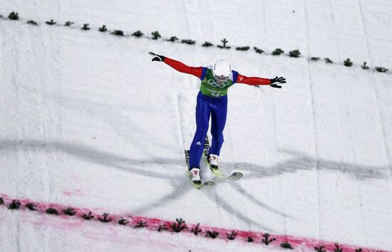 2014 Winter Olympics. Ski jumping. Teams