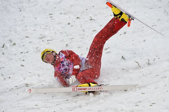 2014 Winter Olympics. Freestyle skiing. Men. Aerials