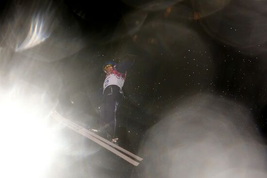 2014 Winter Olympics. Freestyle skiing. Men. Aerials.