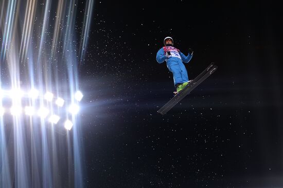 2014 Winter Olympics. Freestyle skiing. Men. Aerials.