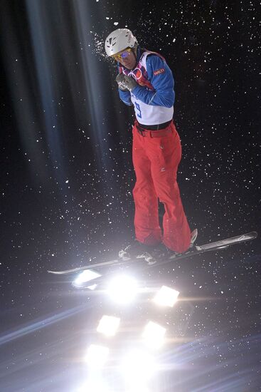 2014 Winter Olympics. Freestyle skiing. Men. Aerials