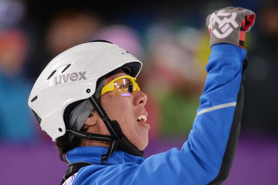 2014 Winter Olympics. Freestyle skiing. Men. Aerials