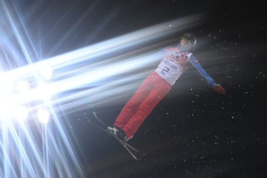 2014 Winter Olympics. Freestyle skiing. Men. Aerials