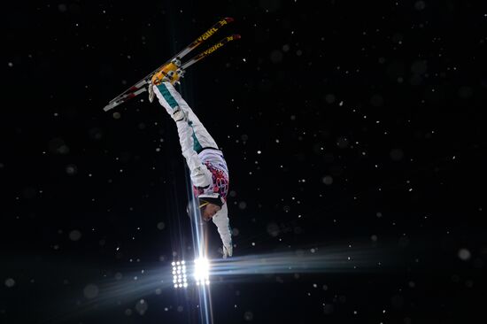 2014 Winter Olympics. Freestyle skiing. Men. Aerials