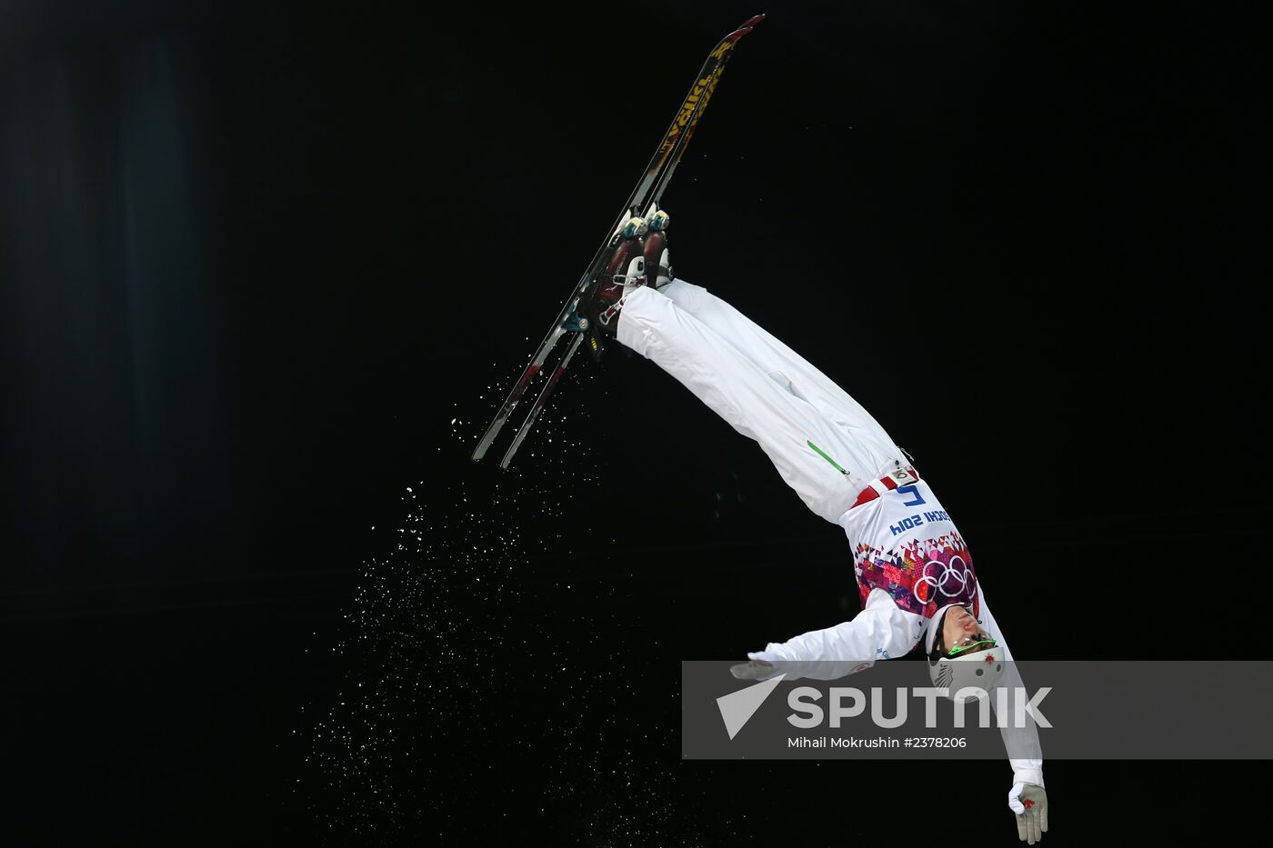 2014 Winter Olympics. Freestyle skiing. Men. Aerials.
