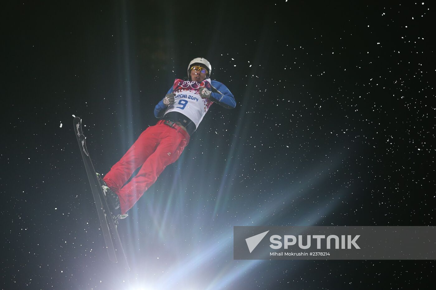 2014 Winter Olympics. Freestyle skiing. Men. Aerials